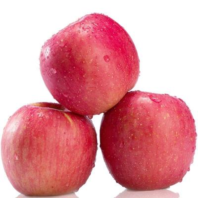 China Fuji Apple Quality Red Delicious Fuji Apple Chinese Apple Fresh Fruits for sale