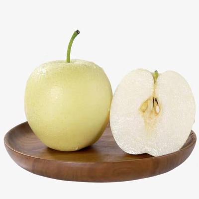 China bulk supply fresh Chinese fresh fruit Huang pear crown guan pear the price for sale