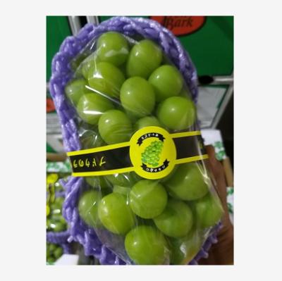 China Wholesale Fresh Natural Seedless Green Grapes Fruit Sweet Burst Muscat for sale