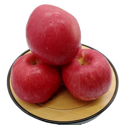 China New Fresh Fruit Cultivation China Fuji Apple Exporting To Australia for sale