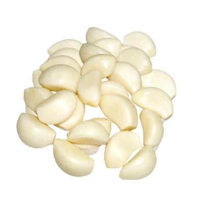 China Export fresh peeled galric Australia from fresh factory for sale