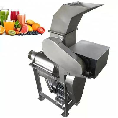 China Fruit Apple Watermelon Mango Pineapple Juicer Extractor Machine Stainless Steel for sale