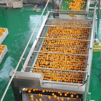 China Alle automatische aanpasbare sinaasappelsapmachine Nieuwe sapverwerkingsmachine Complete fruitverwerkingsmachine Mandarijnpulp Te koop