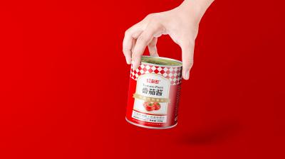 China Geconcentreerde de Lijn10t/hr Capaciteit van de Tomatensausverwerking Te koop