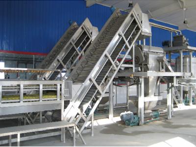 China Niet geconcentreerde Mango Juice Processing Line 10 Tone Per Hour For Africa Te koop