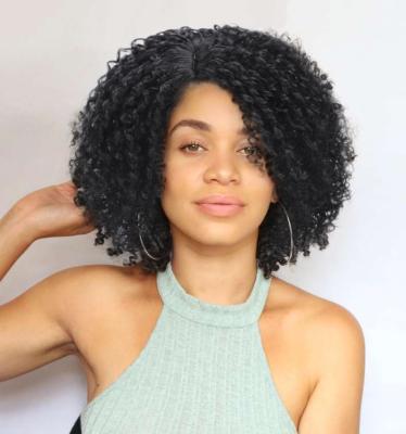 China New Kinky Curl 2020 Fashion Seller Price Afro For Women High Quality Spring Curly Short Black Synthetic No Lace Wig for sale