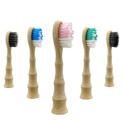 China Hotel Bamboo Toothbrush Plastic Free Packaging Electric Toothbrush Biodegradable Heads for sale