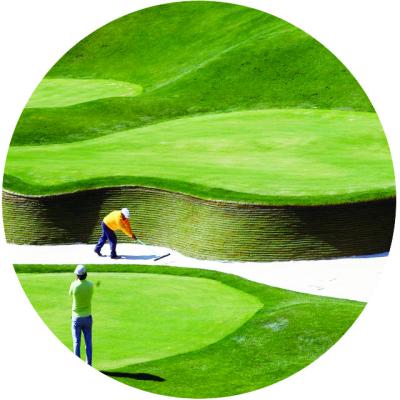 China PE & Free Sample Outdoor PP Artificial Grass Putting Green Grass Mat Waterproof For Golf Course G13 for sale