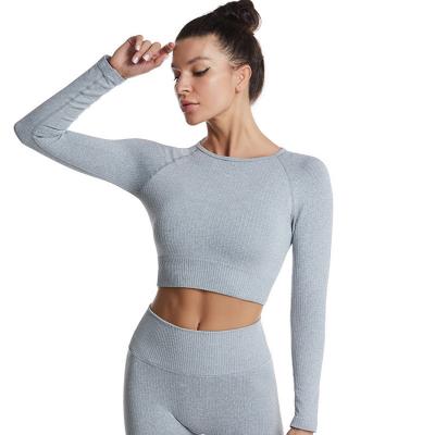 China Custom Logo Quick Dry Breathable Activewear QUICK DRY Ribbed Long Sleeve Crop Top T-Shirt Women for sale