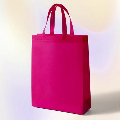 China Fashion \ Wenzhou bag non-woven shopping bag eco-friendly classic bag \ business non-woven fabric \ sports for sale