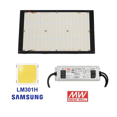 China Seed Starting Amazon Top Sale 3500K 3000K 4000K High Quality Original LM301H Led Growing Light Board QB288 for sale