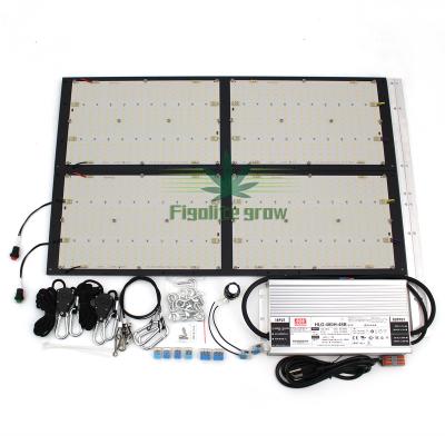 China Seed Starting Original Figolite V4 480W LM301H UV Mix 660nm IR Switch Control To Grow Board MED PIT Light Driver for sale