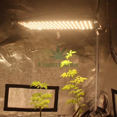 China Seed starting Figolite QB288 led board led grow light LM301H 3000K 3500K 4000K MEDIUM PIT 150w dimmable driver for sale