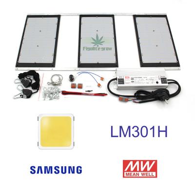 China Seed Starting Figolite 320W Grow Clear Original LM301H LED Panel v3 3xQB288 UV&IR 660nm With Meanwell Driver for sale