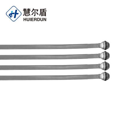 China Container Trucks HED-SS101 Round Metal Head Strap Seal Tamper Proof Metal Strap Seals for sale