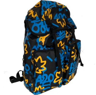 China 2021 New Style Waterproof Cloth Backpack High Quality Net Fixing Hand Painted Backpack for sale