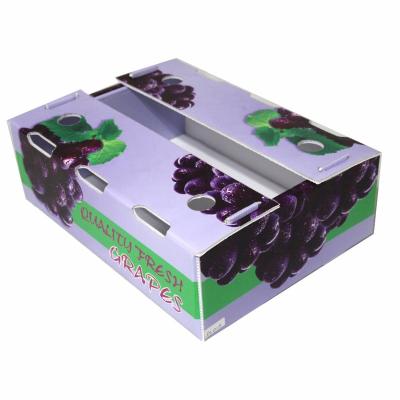 China Recyclable Corrugated Plastic Transport Packaging PP Fruit Vegetable Box And Panel Fresh-keeping Box Corn And Broccoli Grape for sale