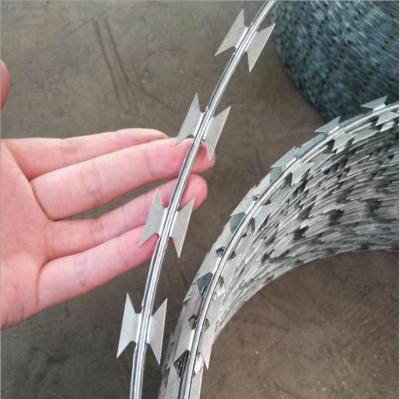 China Beautiful Look Galvanized Fence Spikes Razor Wire for sale