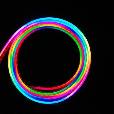 China LANDSCAPE New Products Market In 2018 Magic Color LED Neon Strip Light For Home Bar Decoration for sale