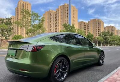 Cina Colore verde lucido di Digital che cambia l'involucro dell'automobile di Tesla in vendita