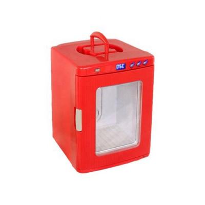 China Portable Absorption 25L Car Fridge / Home Mini Fridge for sale