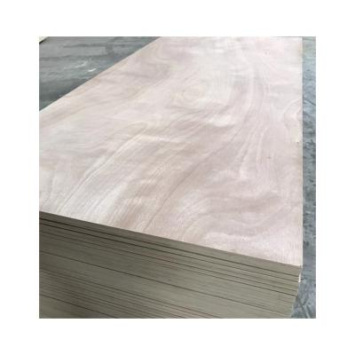 China Modern lvl lumber prices/poplar laminated veneer lumber plywood boards/lvb scaffold lvl for sale