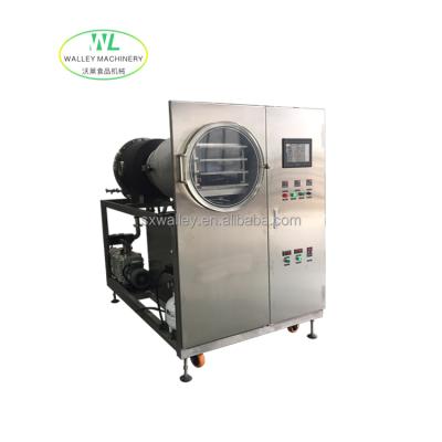 China Industrial High Quality Vacuum Freeze Drying Machine High Efficiency And Small Pilot Lab Use Drying Machine For Fruits/Vegetables/Milk/Meat/Aquatic Products for sale