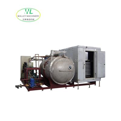 China High Quality High Efficiency Industrial Drying Machine Use Vacuum Freeze Drying Machine for sale