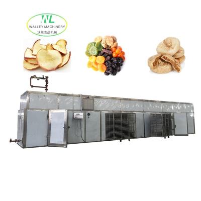 China Factory Hotsale Stainless Steel Food Tunnel Dryer Machine Grape Dehydrating Equipment Plums Hot Air Drying Part For Ginger Onion Mango for sale