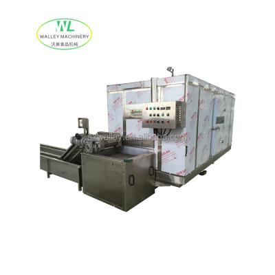 China Fruit Vegetable Customizing Multifunctional High Efficiency Tunnel Freezer Dryer For Seafood / Dumplings for sale