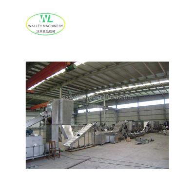 China High quality industrial line meat durian milk rice freeze drying high efficiency use vegetable and fruit processing line for sale