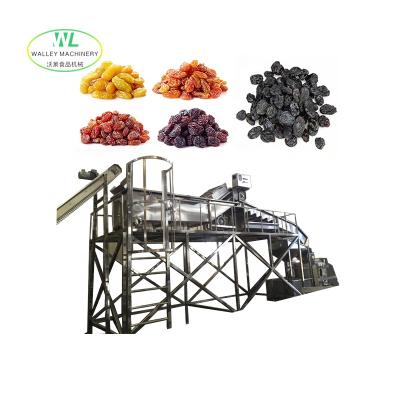 China Factory Hot Sale Raisin Washing Drying Machine/Dried Fruit Cleaning Machine/Dry Plum Riffle Washing Polishing Oiling Equipment for sale