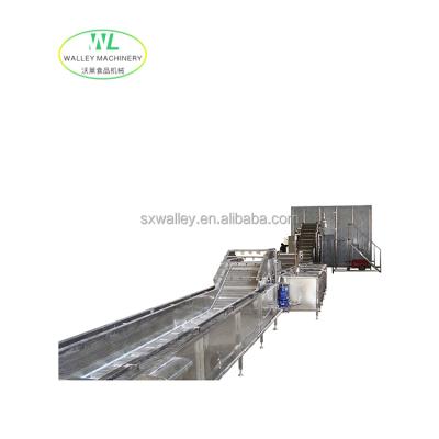 China Factory Hotsale High Quality Automatic Mushroom Production Equipment Frozen Fruits and Vegetables IQF Freezing Line Pea Processing Machine for sale