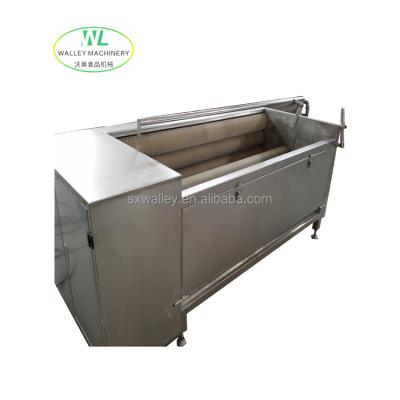 China Multifunctional fruit vegetable washing/peeling customization machine for carrot/ginger/potato/taro for sale