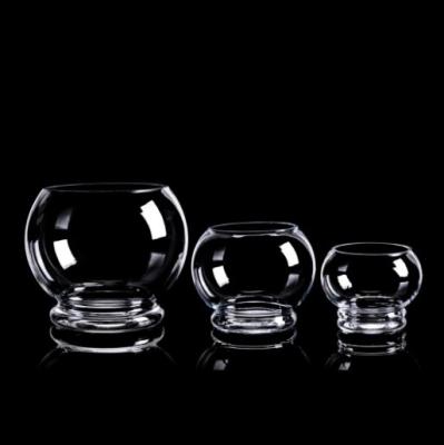 China 15D/40D Minimalist Spherical Transparent Glass Popular Ornament Vase Flower Decorative Flower Arrangement Central Institute of Statistics for sale