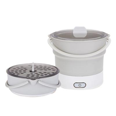 China Brand New Sustainable Double Voltage Cooker For Travel Dan Home Use With High Quality for sale