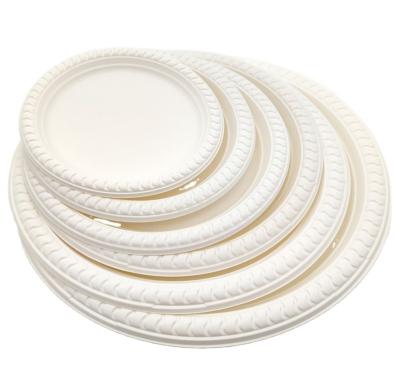 China 100% Customized Plate, Biodegradable, Environmental Friendly, Biodegradable Party Disposable, Disposable Paper Plate, Round Cake Plate 51 for sale