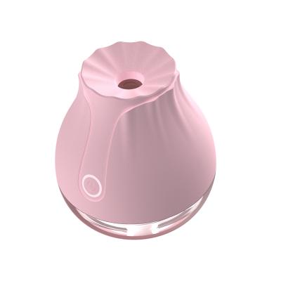 China Wireless Luminous Colors Petal Humidifier 250ML Mini Usb Mist Sprayer For Wholesale for sale