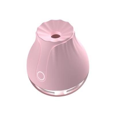 China Hot Selling Essential Pink Wireless Ultrasonic Mini Oil Diffuser and Diffuser Portable Humidifiers for sale