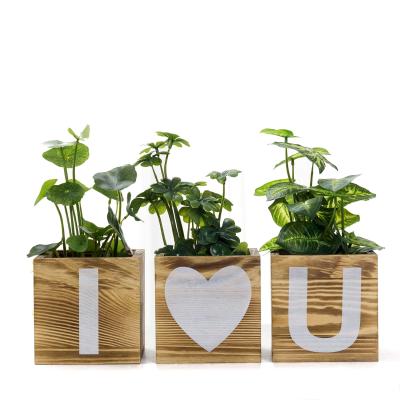 China Pastoral Hot Selling Handmade Natural Wooden Plant Pots In Indoor / Outdoor for sale