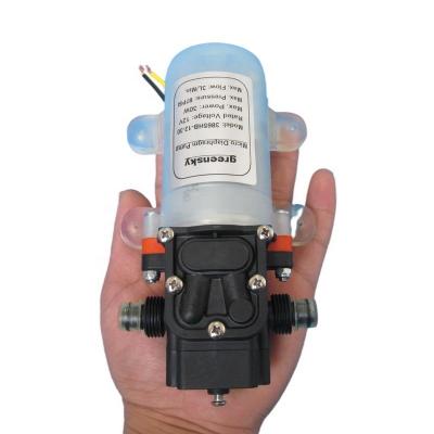 China Factory Grimmsky auto industry type return valve 3L/Min 12V DC 30W micro self-priming diaphragm pump sell directly for sale