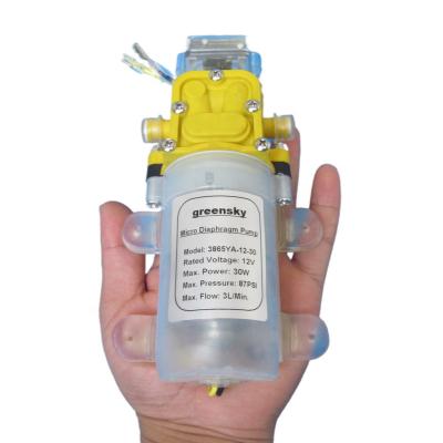 China Factory Grimmsky Automotive Industry Type 3L/Min 3L/Min Self-priming 12V DC 30W Diaphragm 12V Automatic Water Directly Selling Pressure Switch Pump for sale