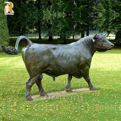 China Europe Life Size Or Customized Animal Bronze Brass Sculpture Of Bull Angus Statue Metal For Ourdoor for sale