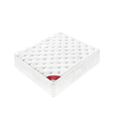 China Foldable Hot Selling Euro Pocket Top Box Spring Mattress for sale