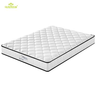 China King Queen Size Bonnell Foldable Plastic Bed Base Bedroom Mattress Home Furniture for sale