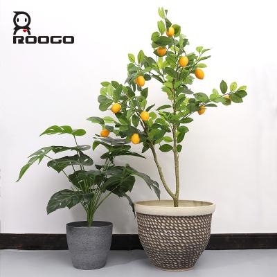 China Cute Animal Cheap Roogo Farm Flower Pots And Planters Garden Pots Decoration for sale