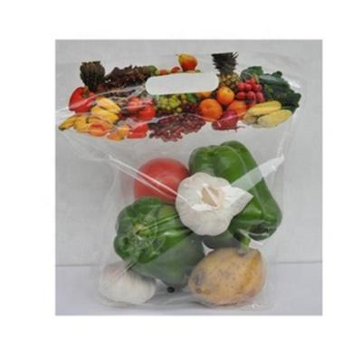 China zhejiang good quality plastic bag .Top pack food packing fresh vegetable printed&zipper mesh packaging bag for sale