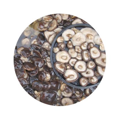 China Chinese reliable high quality brined salted shiitake mushroom in plastic drum SM001 for sale