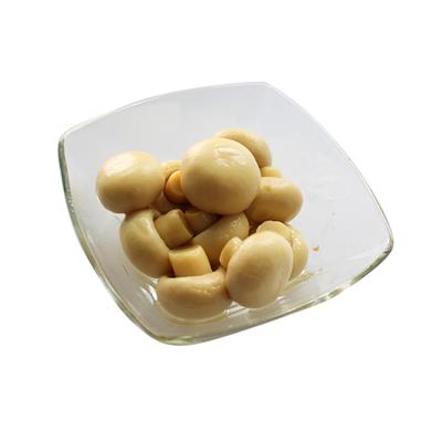 China High quality canned canned mushroom fresh canned white champignon mushroom for sale