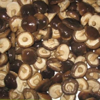 China Fresh fresh seasoning shiitake mushrooms in jar for sale